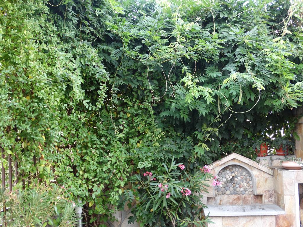 Guest House Ivel Sapareva Banya Luaran gambar