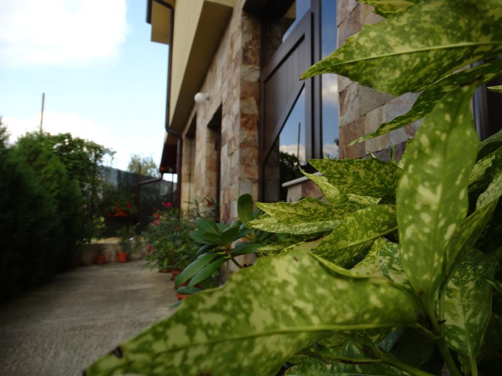 Guest House Ivel Sapareva Banya Luaran gambar